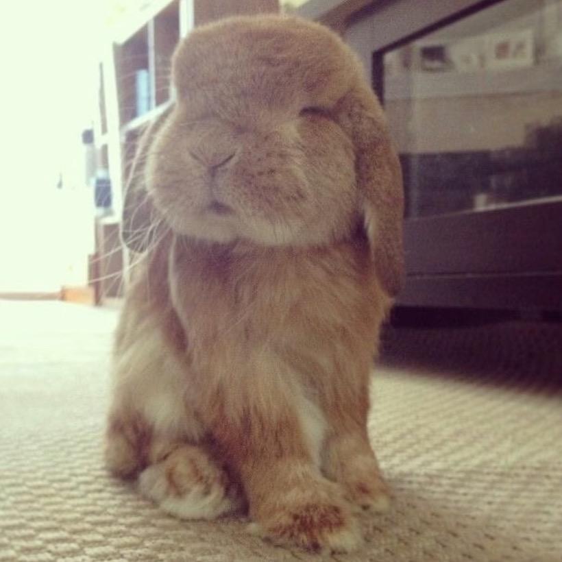 叽里呱啦啦不啦卡