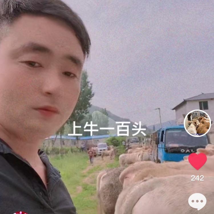 郭总：诚远牧业