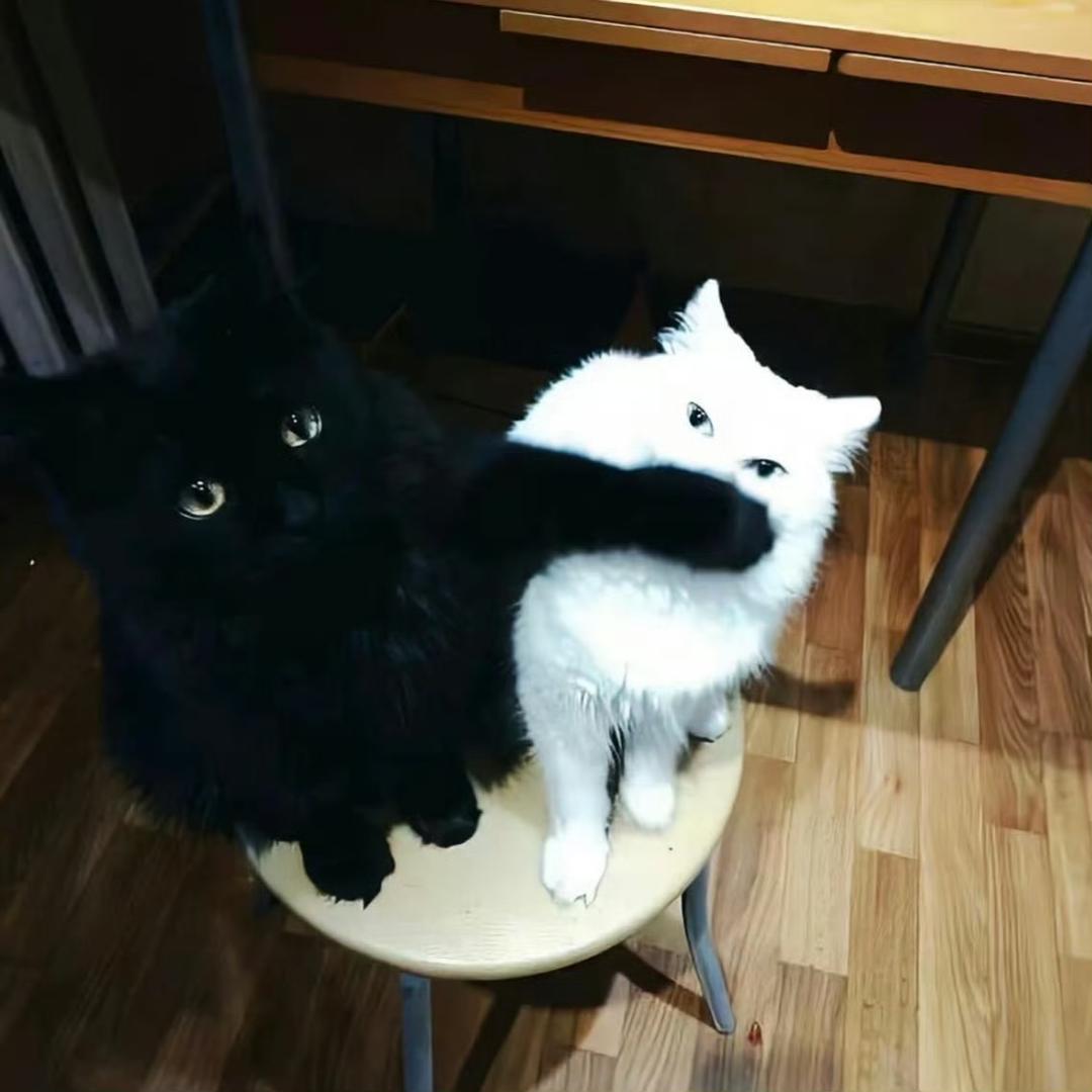 杰伦（无畏契约）