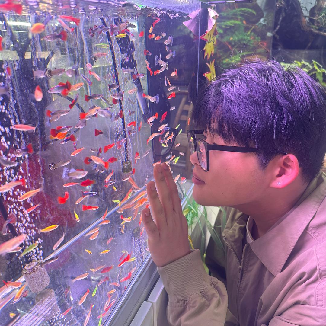 悲伤刷子