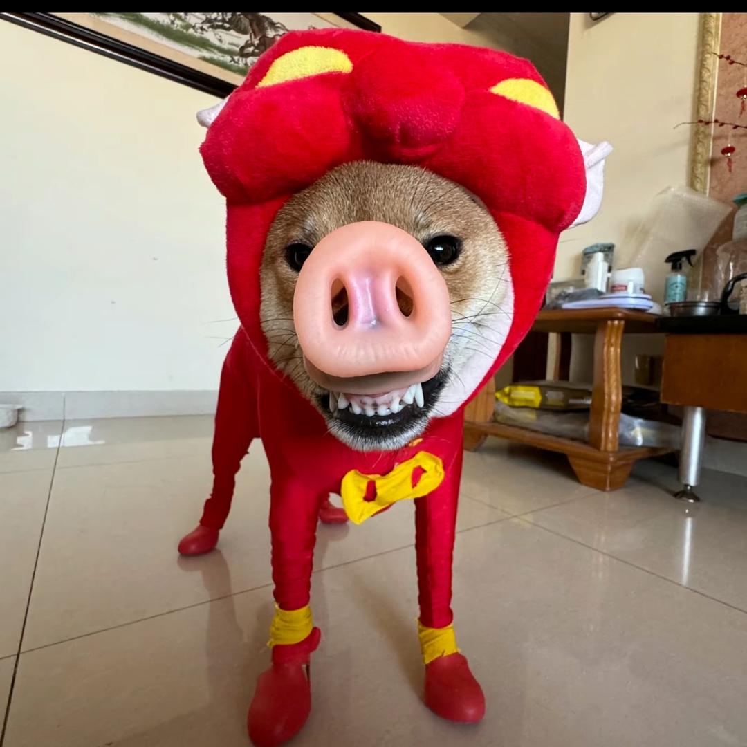 赫