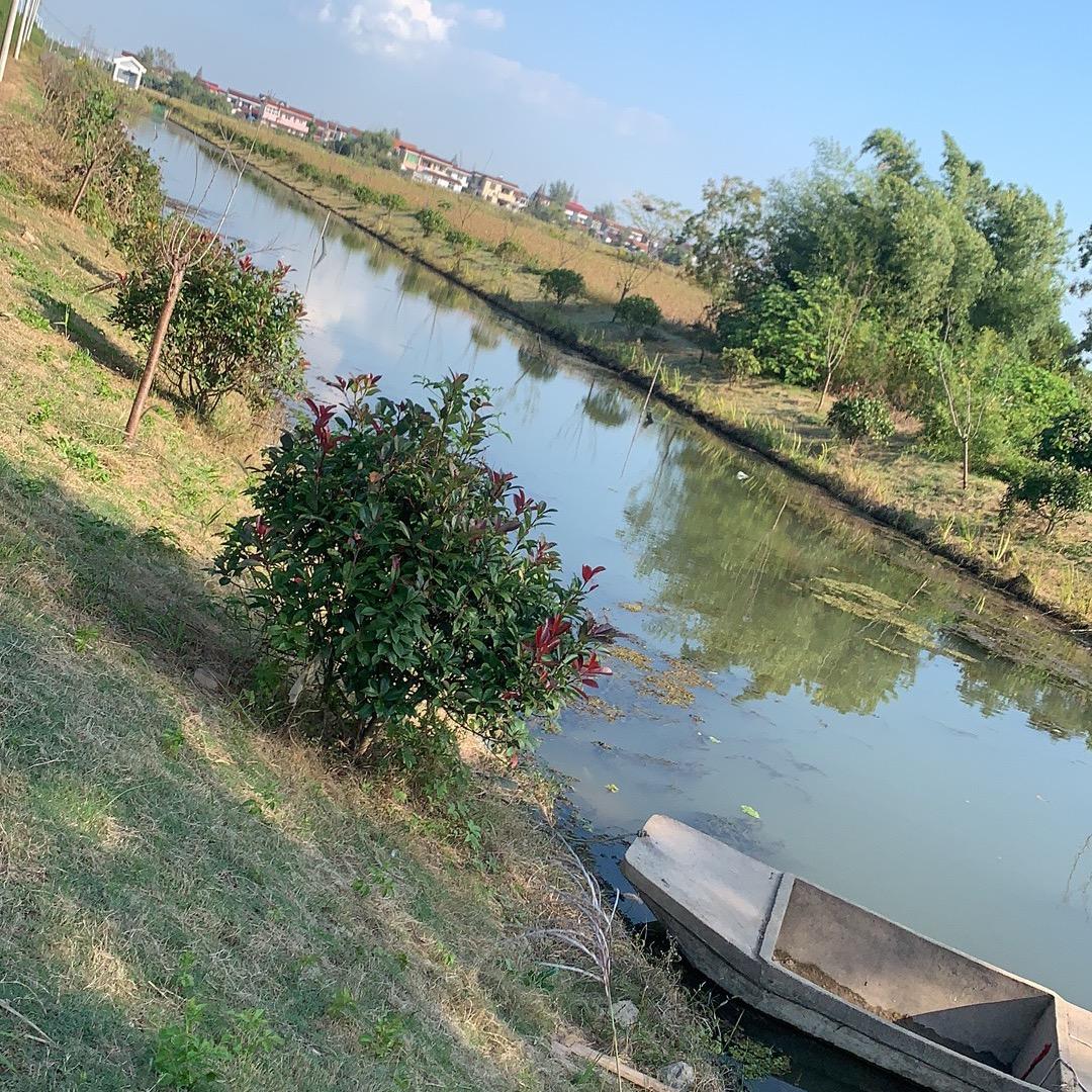 超炜莉    房屋中介