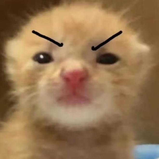 干吧酸奶（求推荐