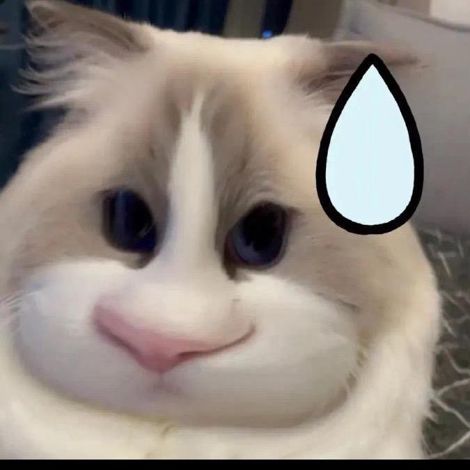 猪猪小野