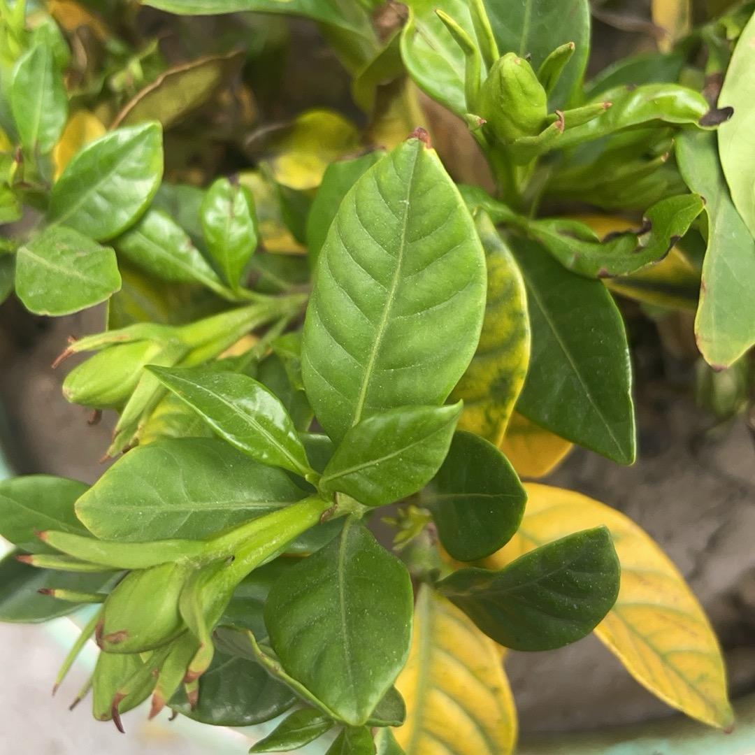 不້໌ᮩ动心²⁰²5