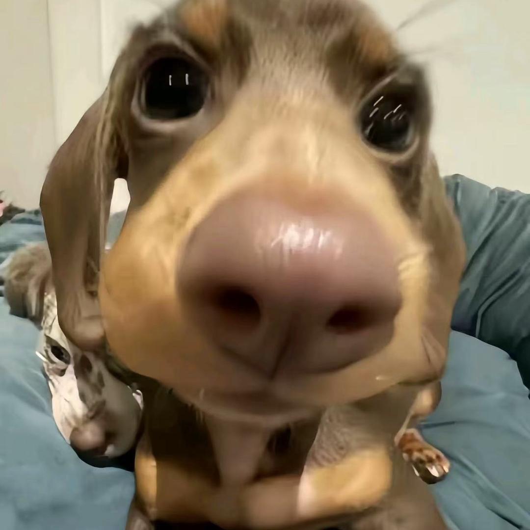 车窗起雾我写下你的名字