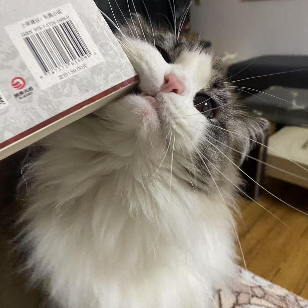 周一见啦