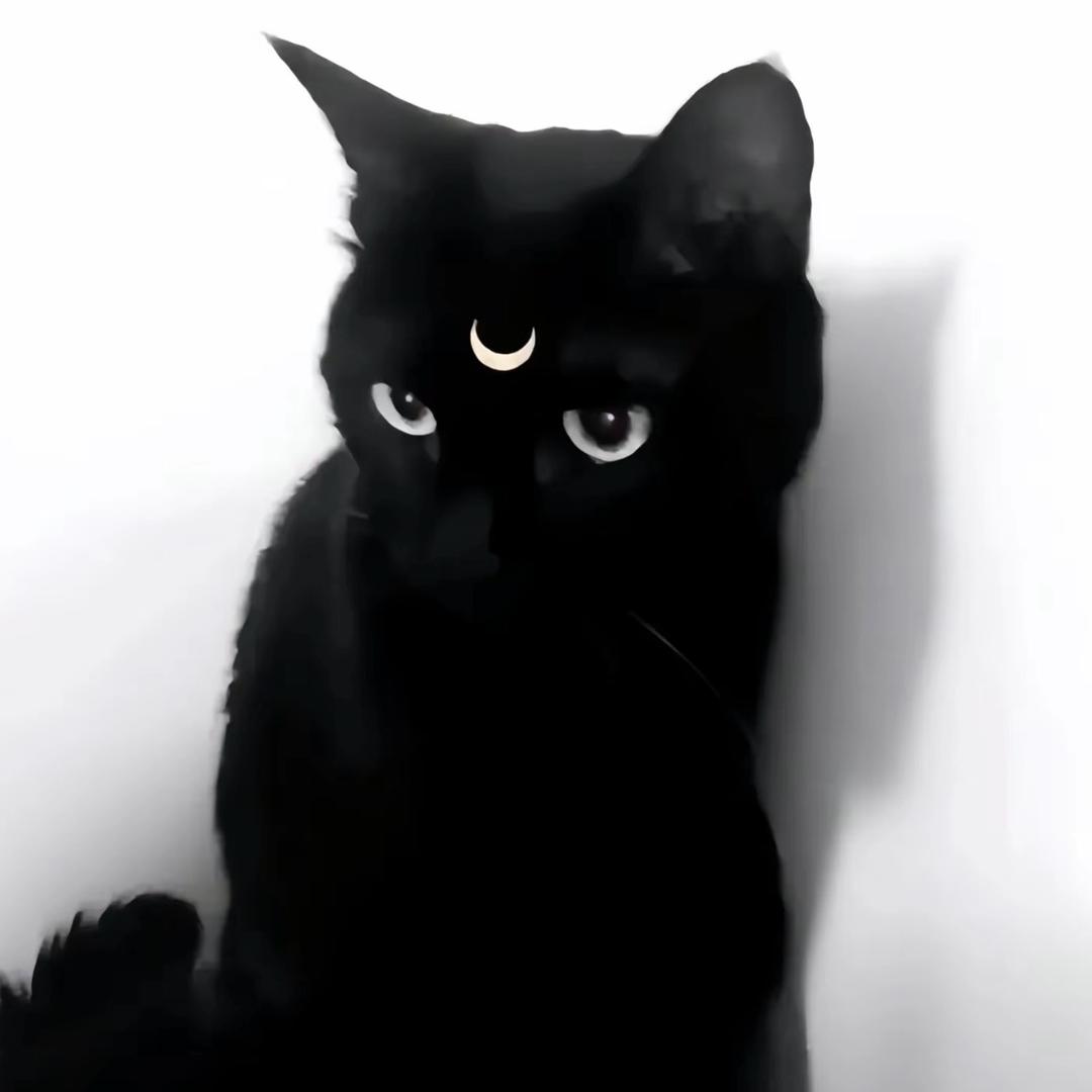 Yuuuuuuu