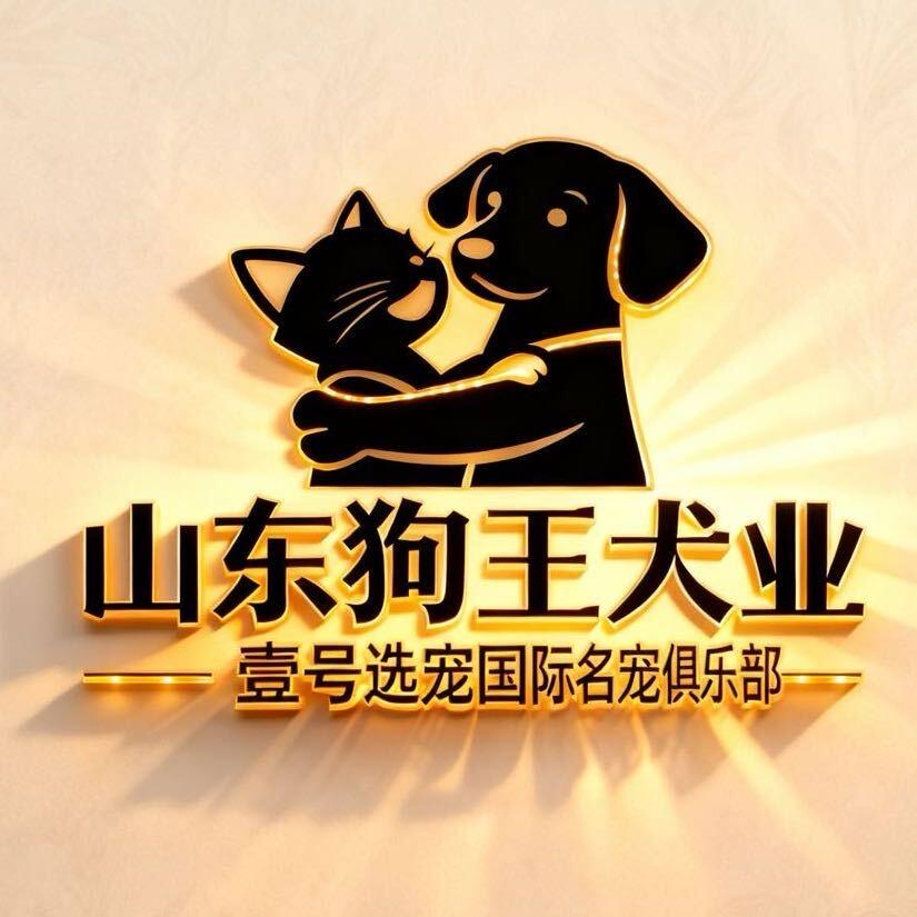 查德选狗（山东狗王犬业）