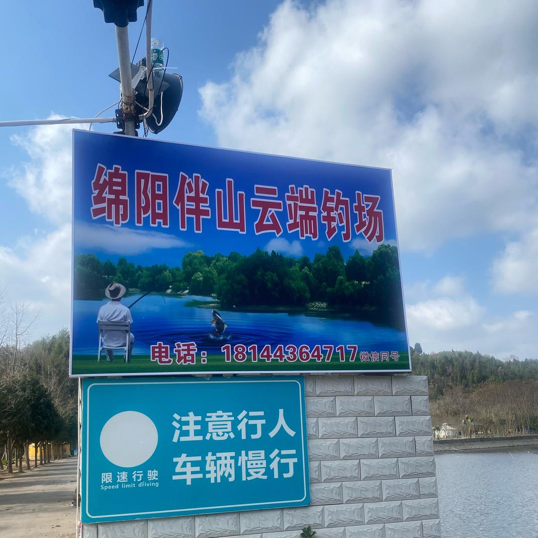柒小姐直播钓鱼