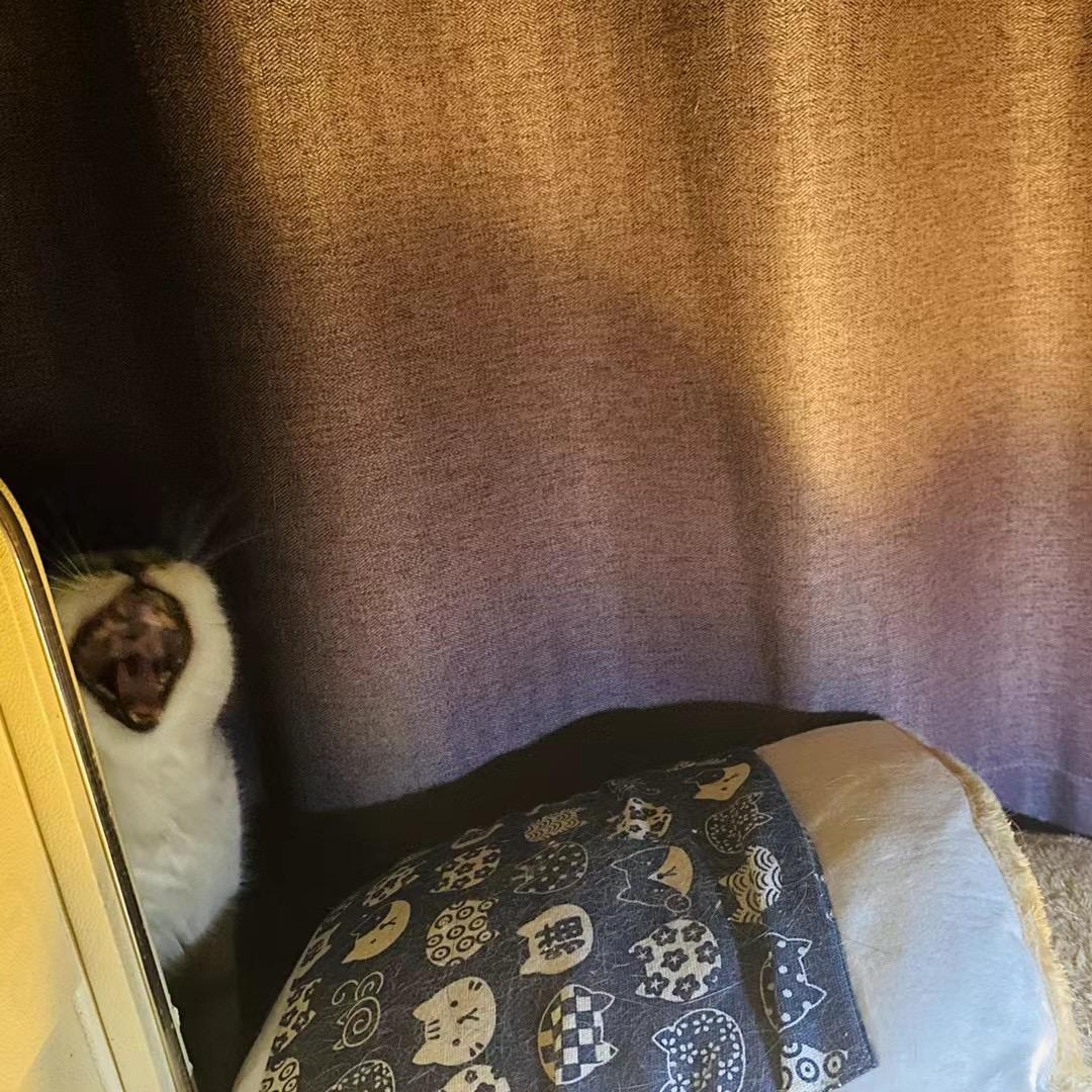 奥斯两八开