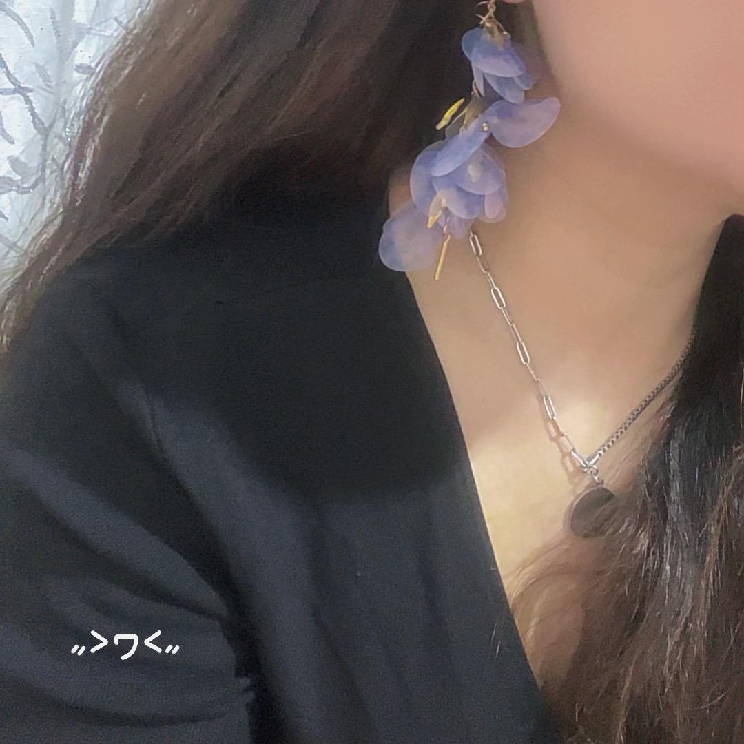 阜阳胖大姐