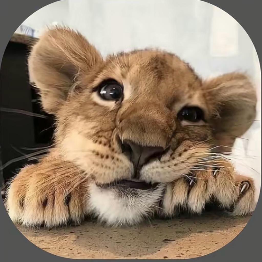 一身少爷病