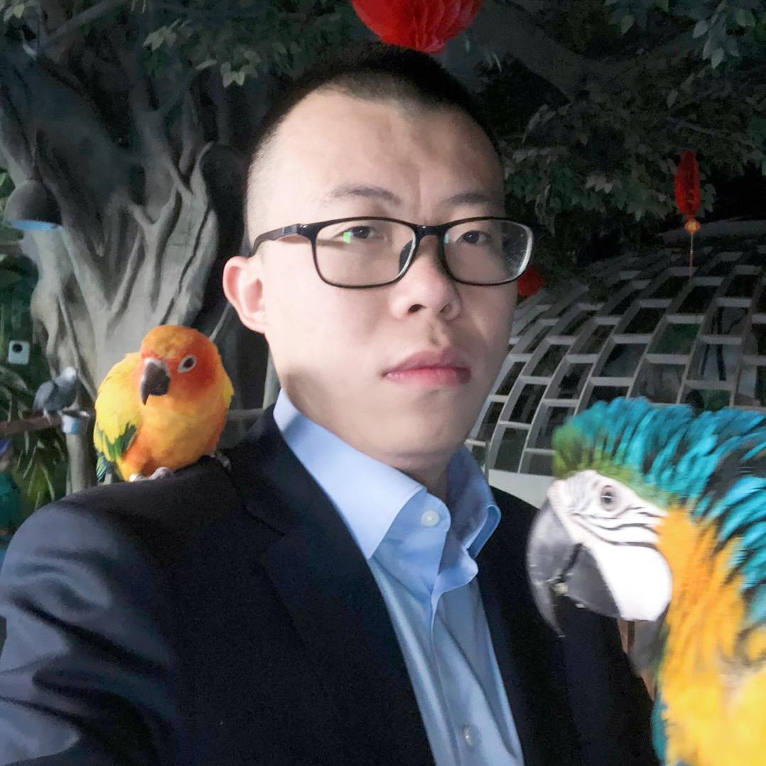 紫蓝鹦鹉家族大师兄