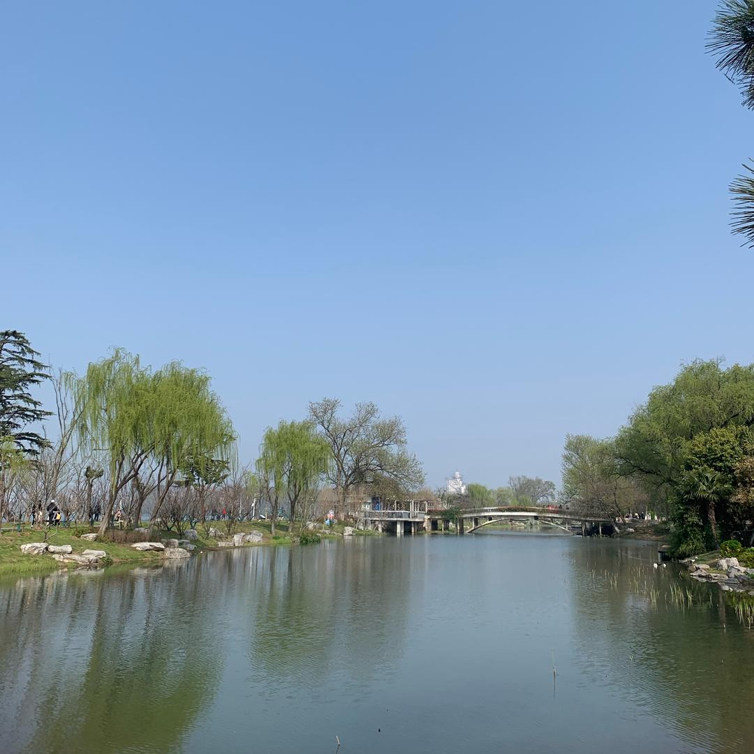 有一种偏执叫单曲循环