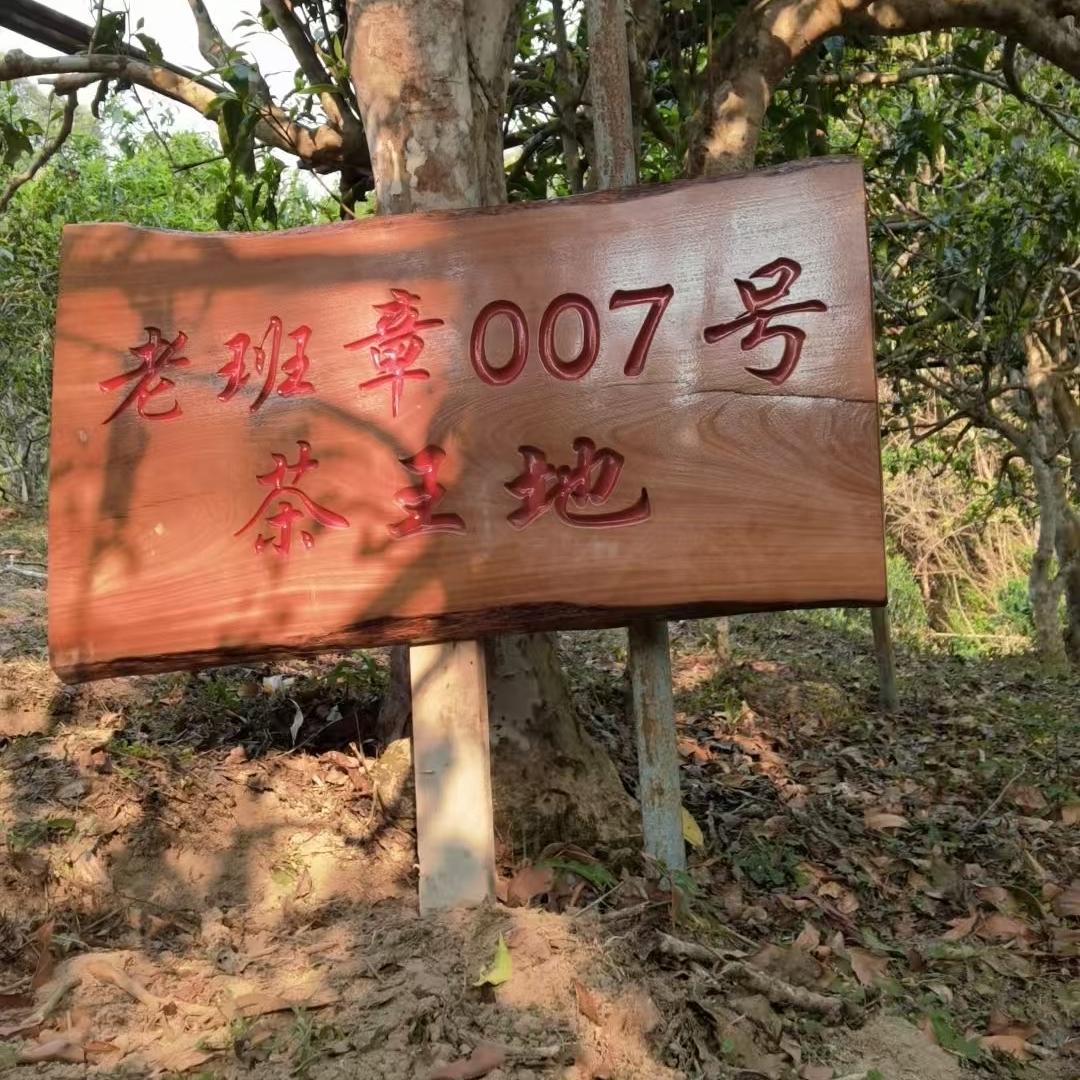 老班章007号