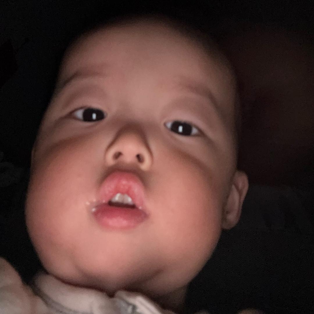 动动很爱动✌️