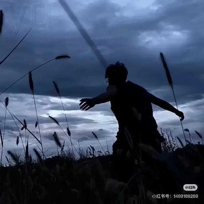 白熊