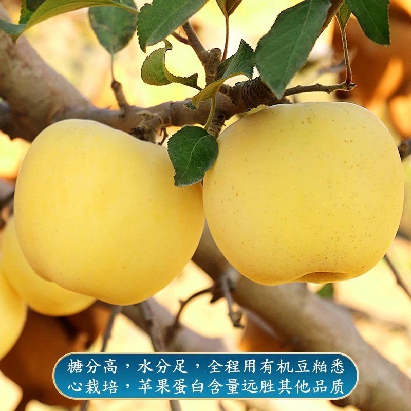 鲜果鲜发