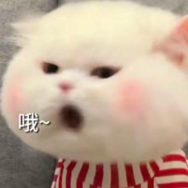 努力赚钱买香奈儿的小曹