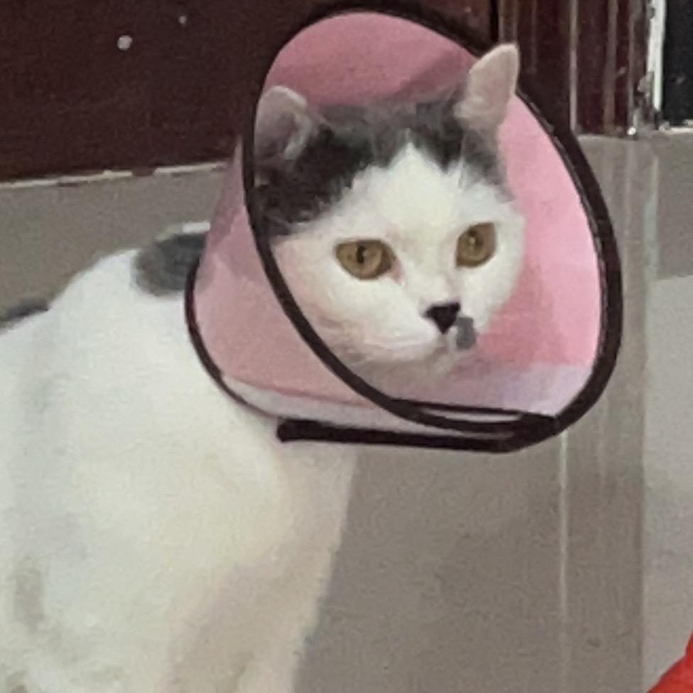 两百