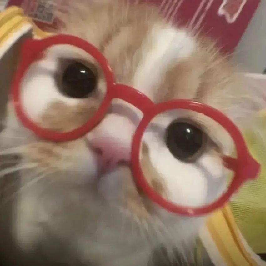 麻辣烫装进鲨鱼裤