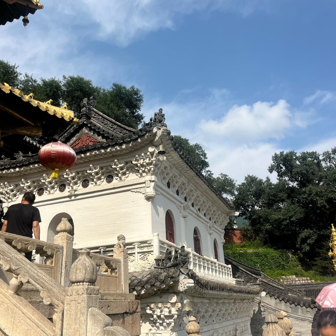 穆宁🪷
