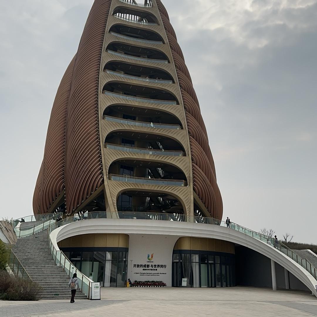 适应傲龙