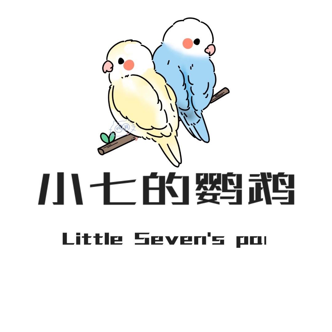 小七的鹦鹉
