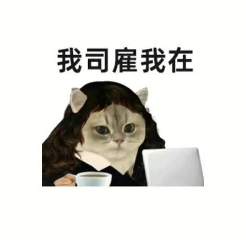 考公考编每日一题