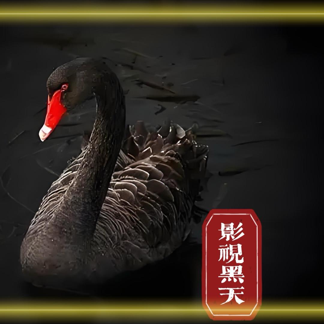 影视黑天