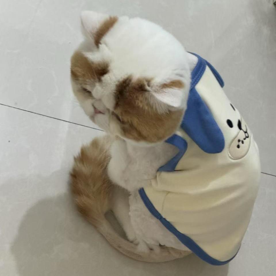 霓团子儿