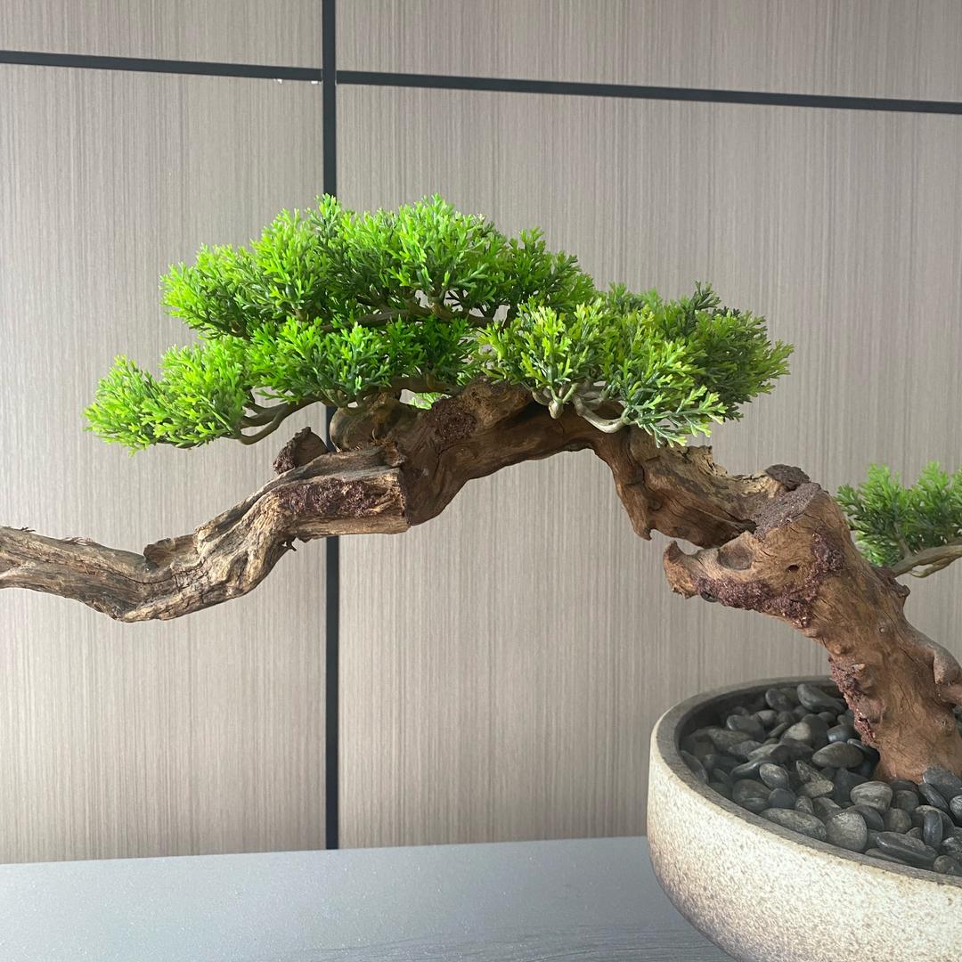 林歌