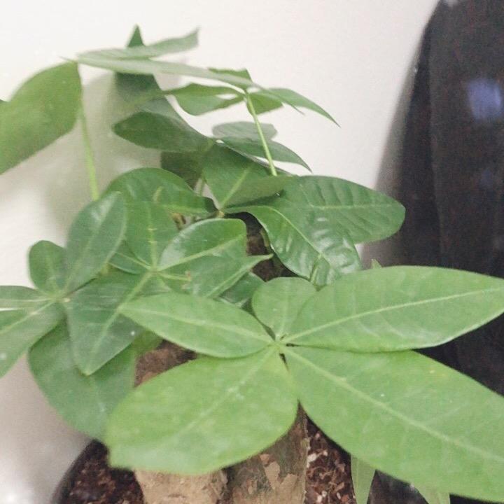 你说啥