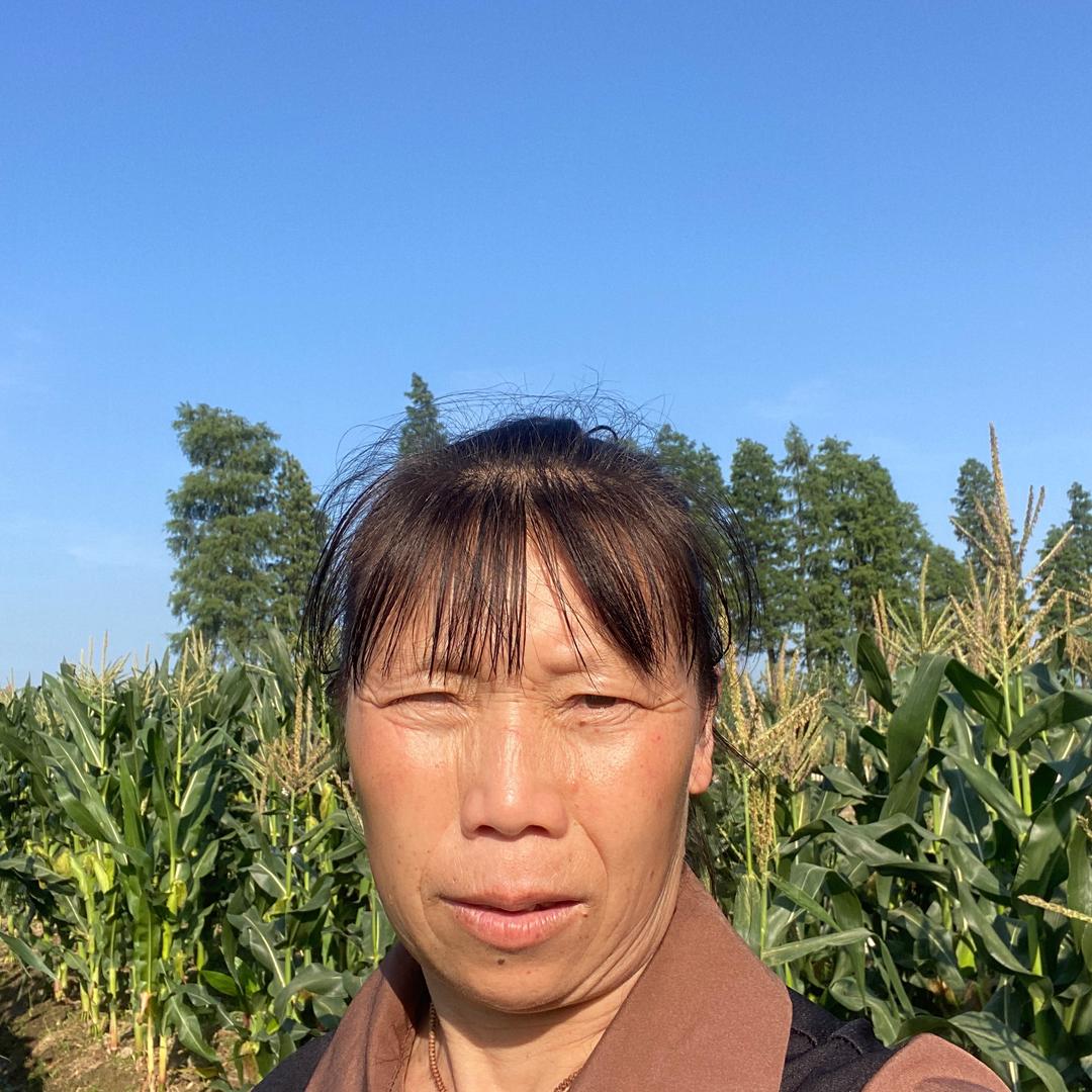 小江姐(早5点30开墻)