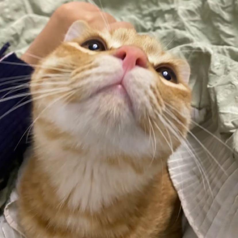 明天一起吃饭吗