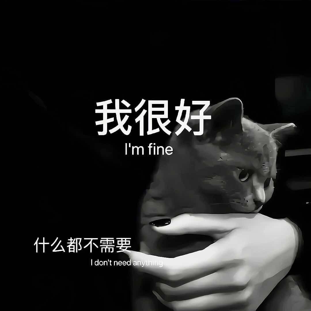 迪兰