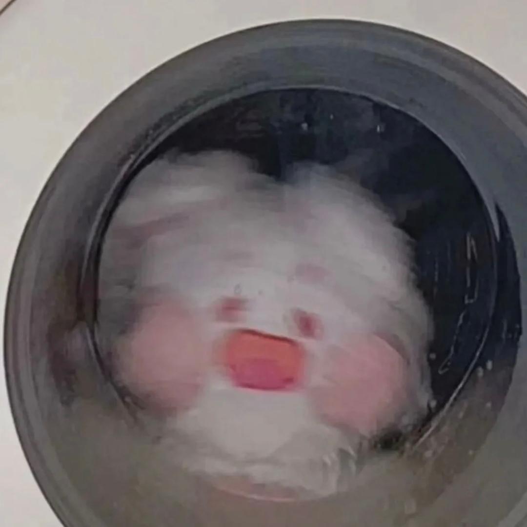 就叫阿涩儿