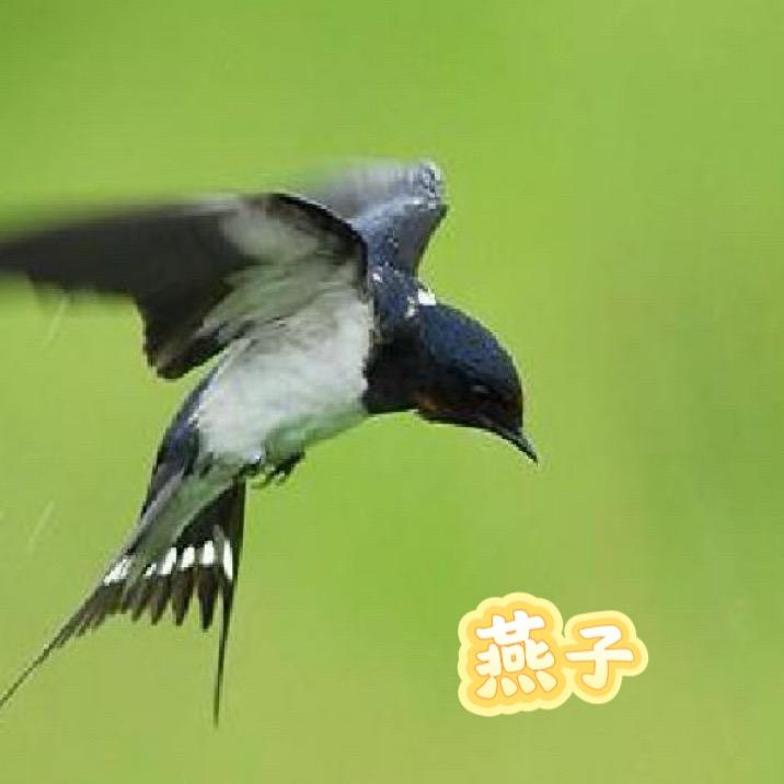 麻辣滚烫