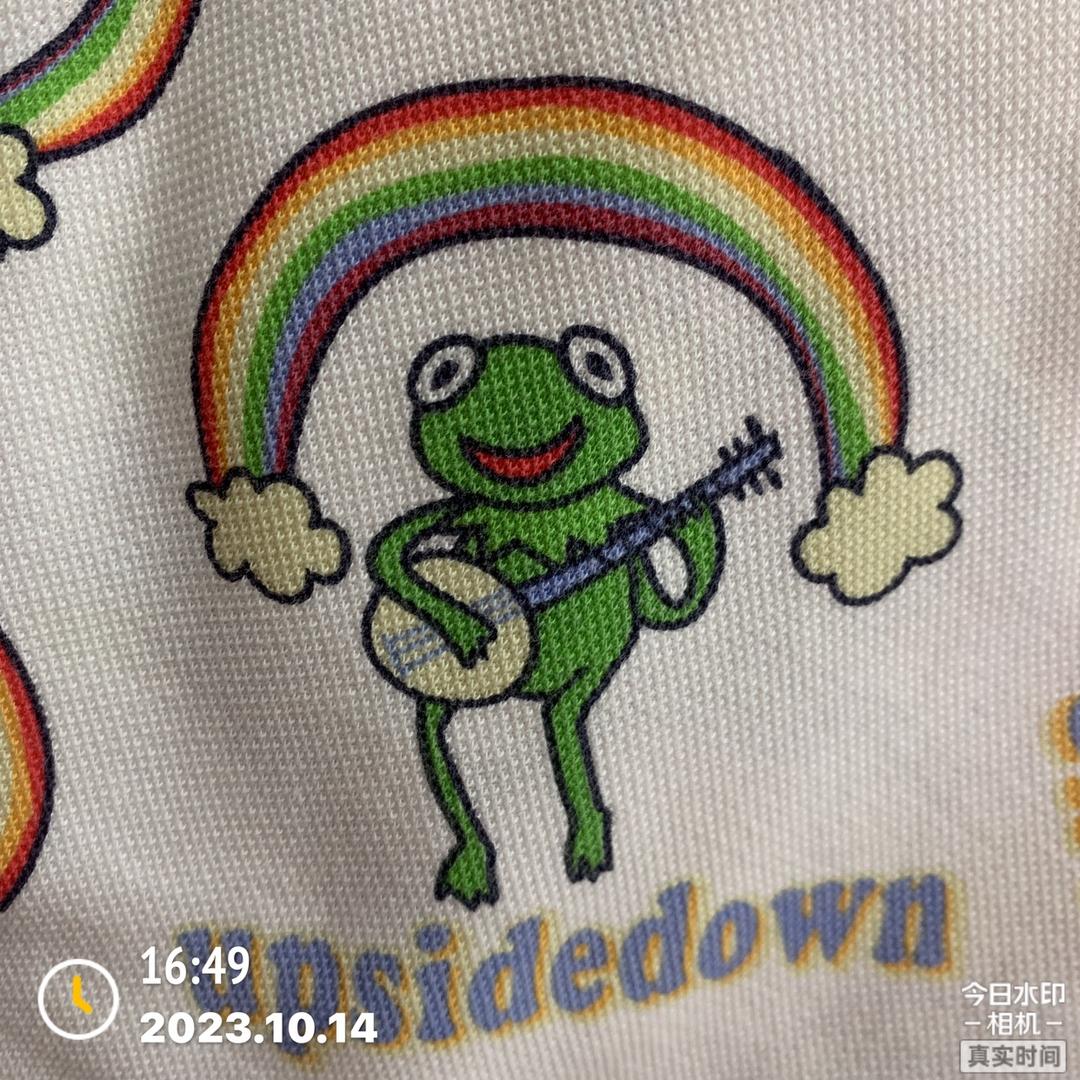 爱吃鸡腿💰