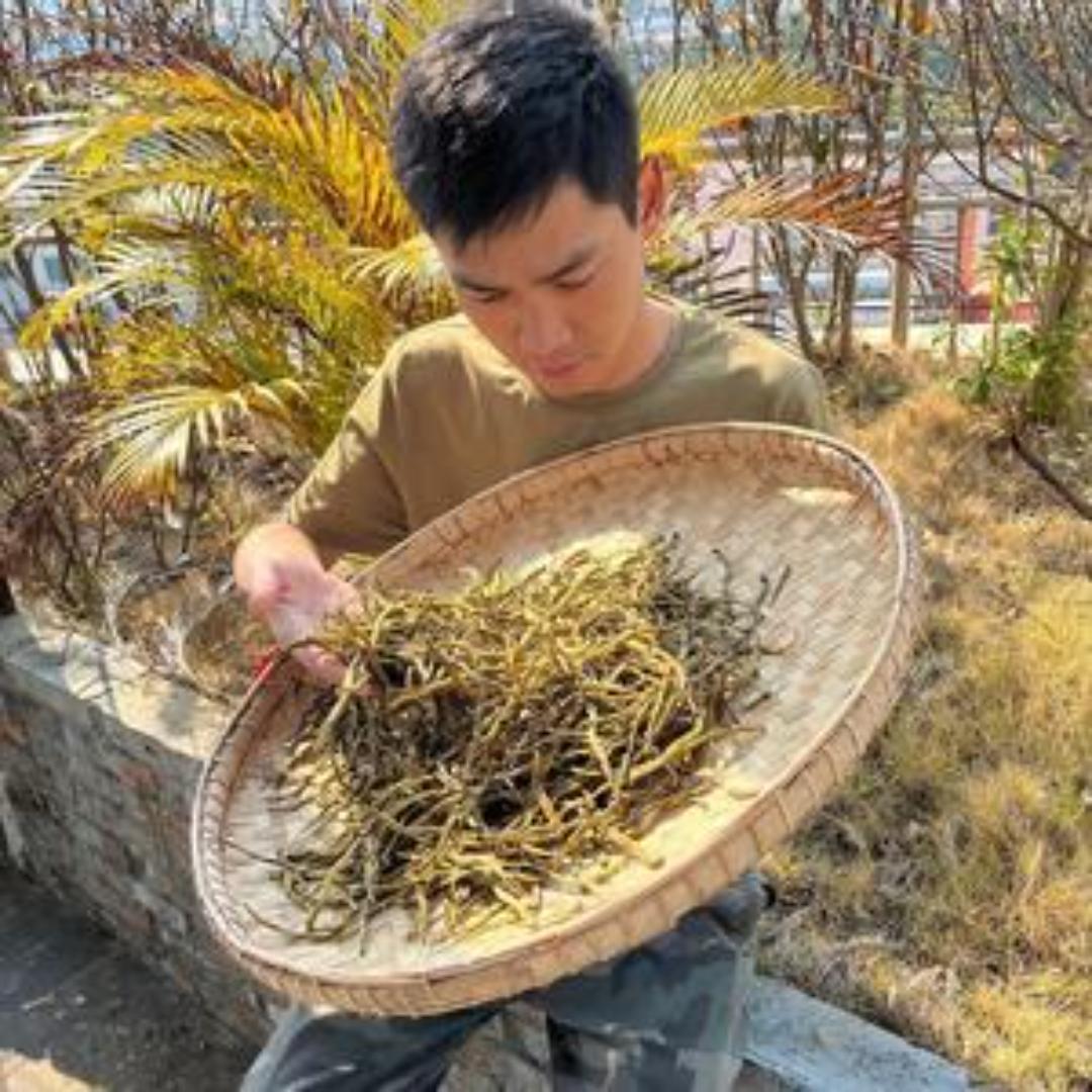 茶马古道严选土特产