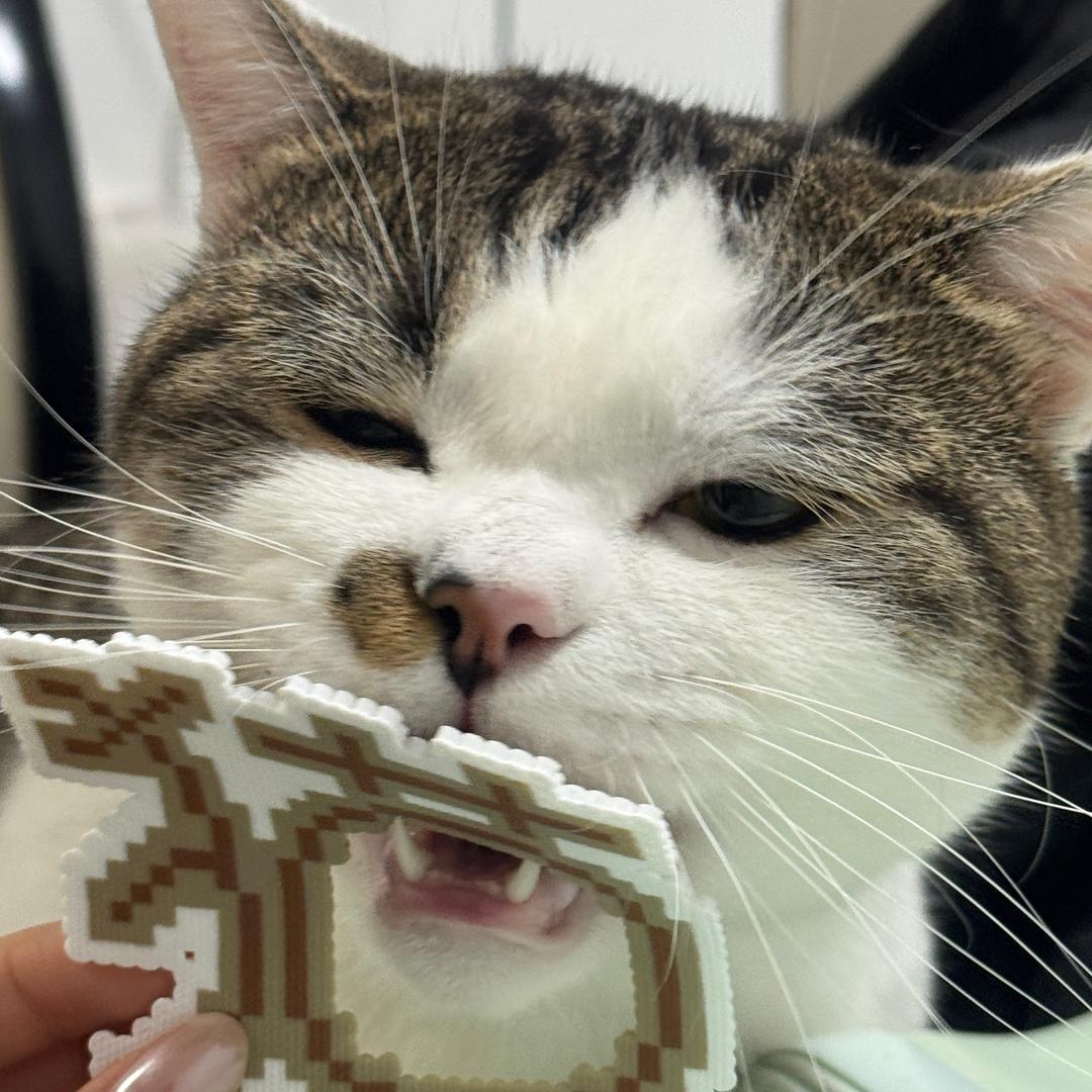 焦糖芝麻糊好好喝