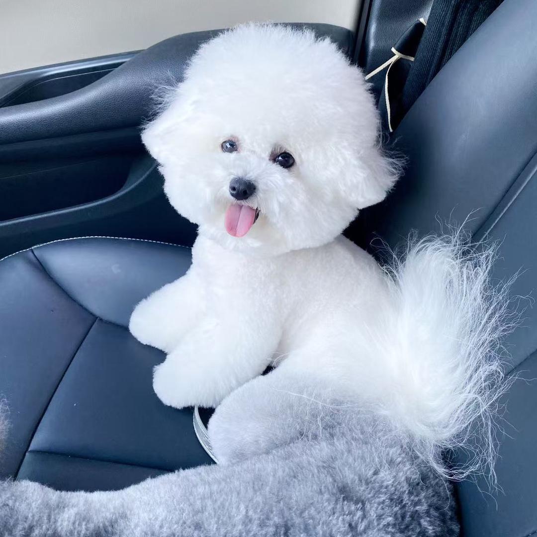 小四宝的每一天