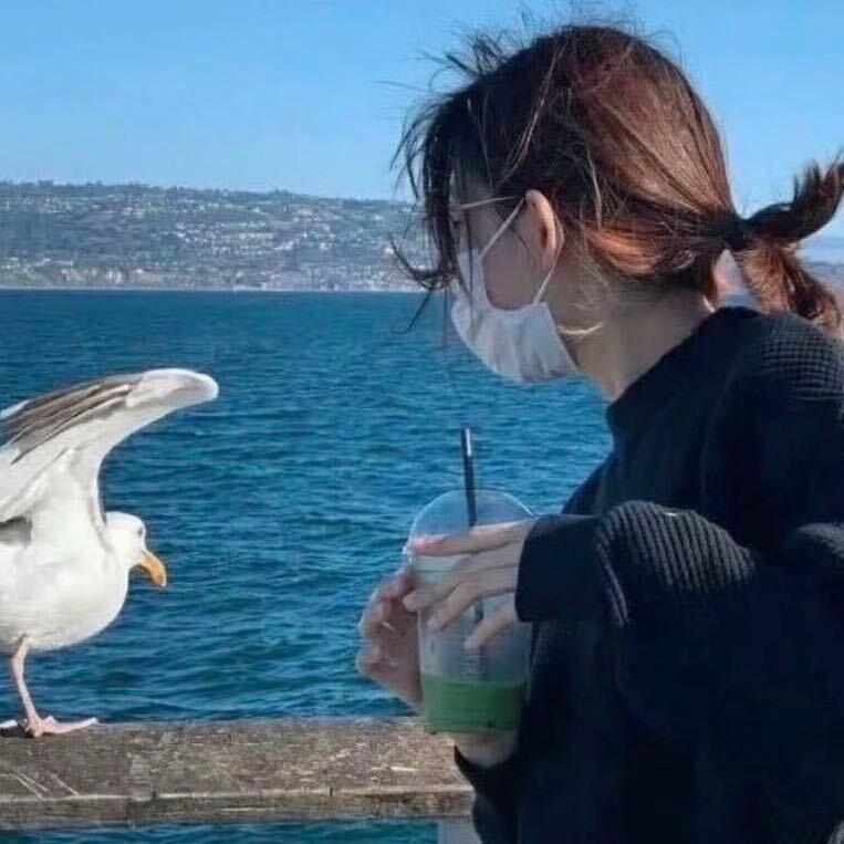 一菲吖