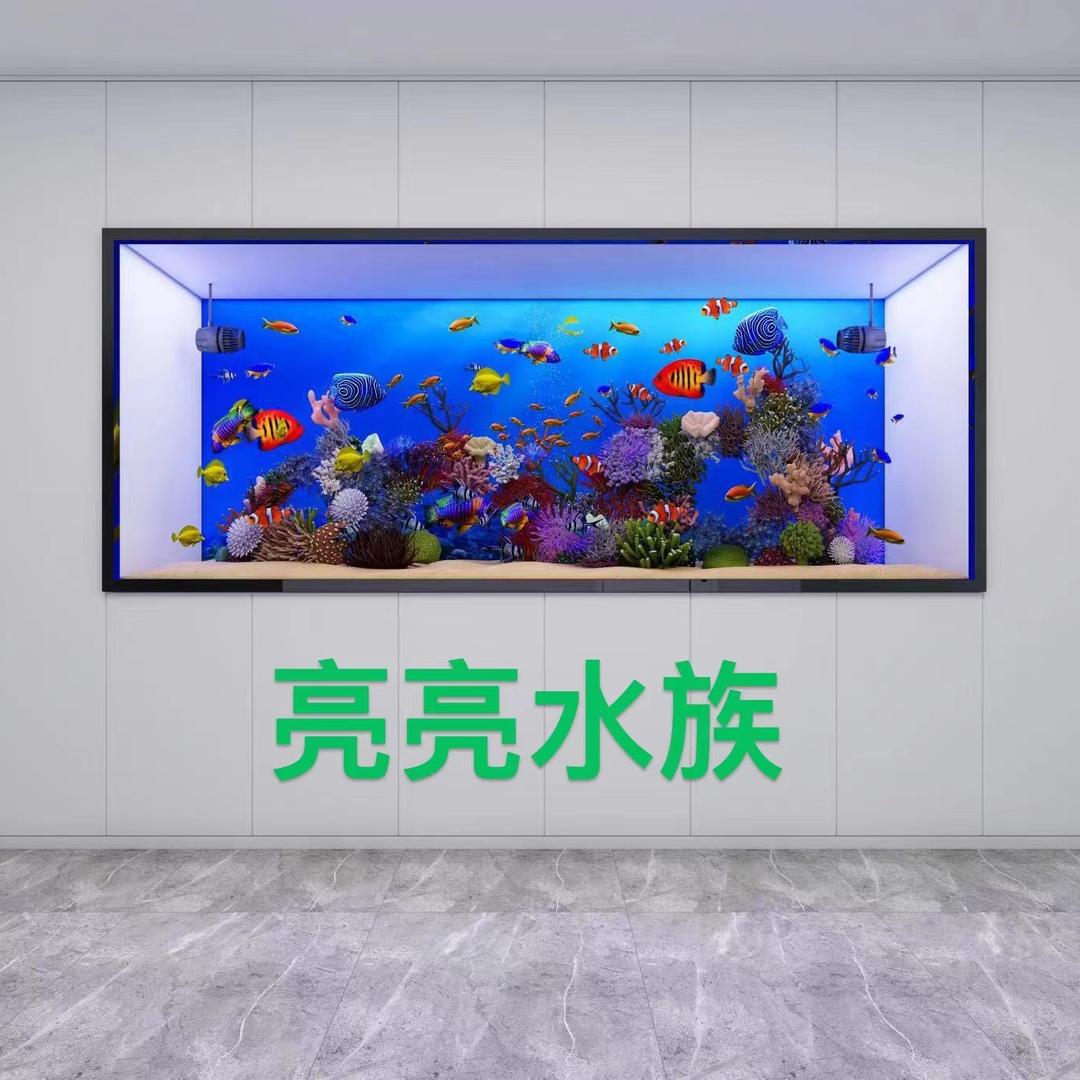 亮亮水族馆1