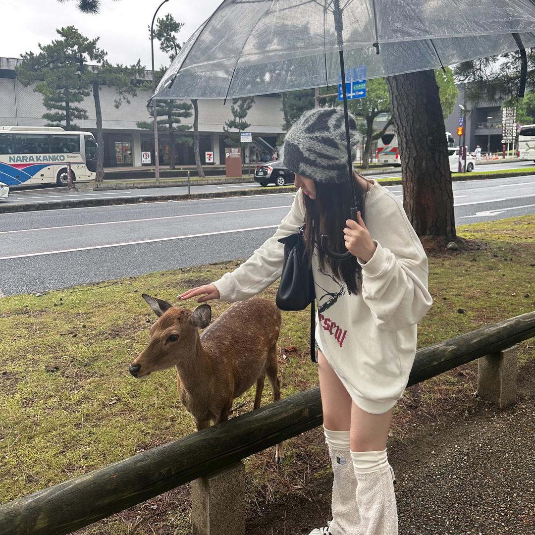 小波仔