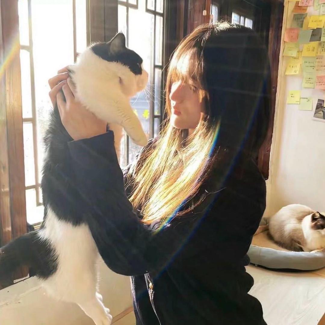 野生小咩