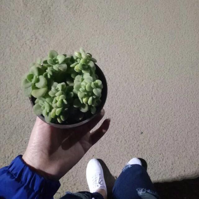 萝卜🥕