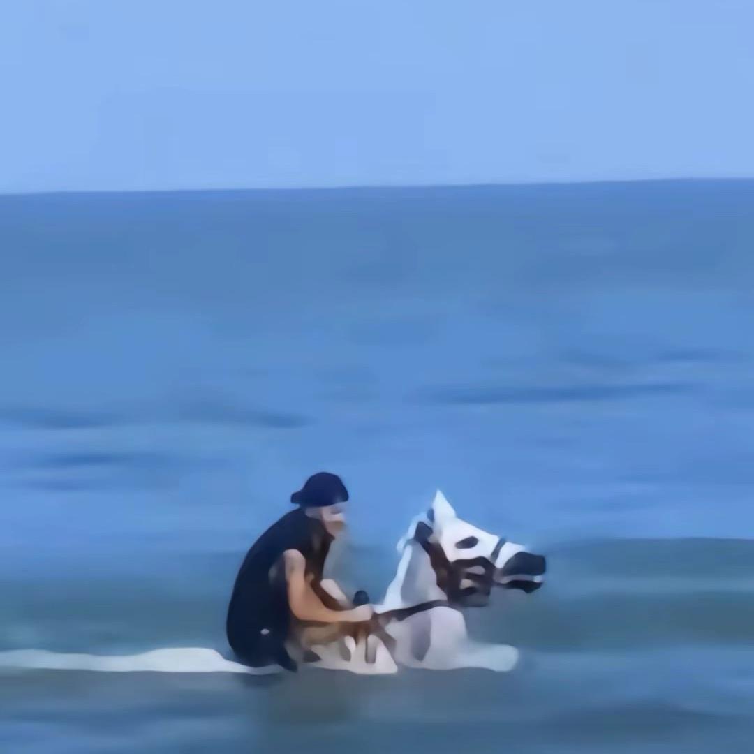 鱼和熊掌不可得兼