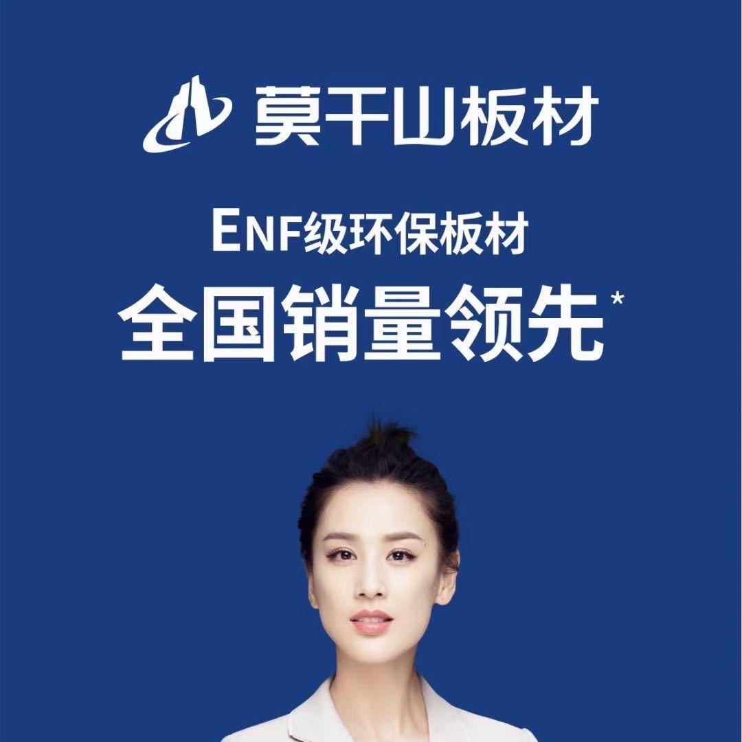 娄底莫干山板材速装中心